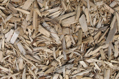 biomass boilers Wadenhoe